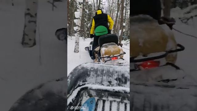 Тайга Варяг 550V, ищем лес,измеряем глубину снега!)) смотреть онлайн