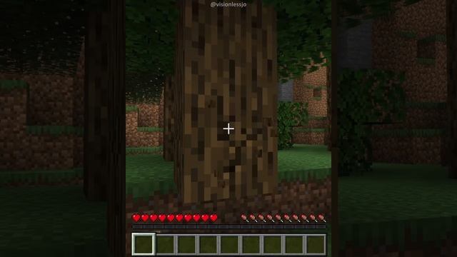 minecraft steve in real life смотреть онлайн