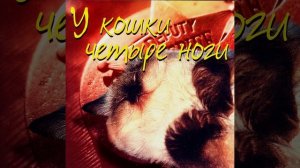 Александр Ткачев-Петрович - Как у нас на фронте.