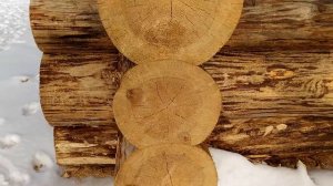 Сруб 6х6 ручной рубки в чашу диаметр 320-380 мм.