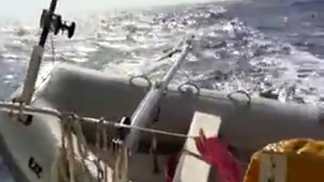 Dauphin raté Mallorca Minorca 8 noeuds смотреть онлайн