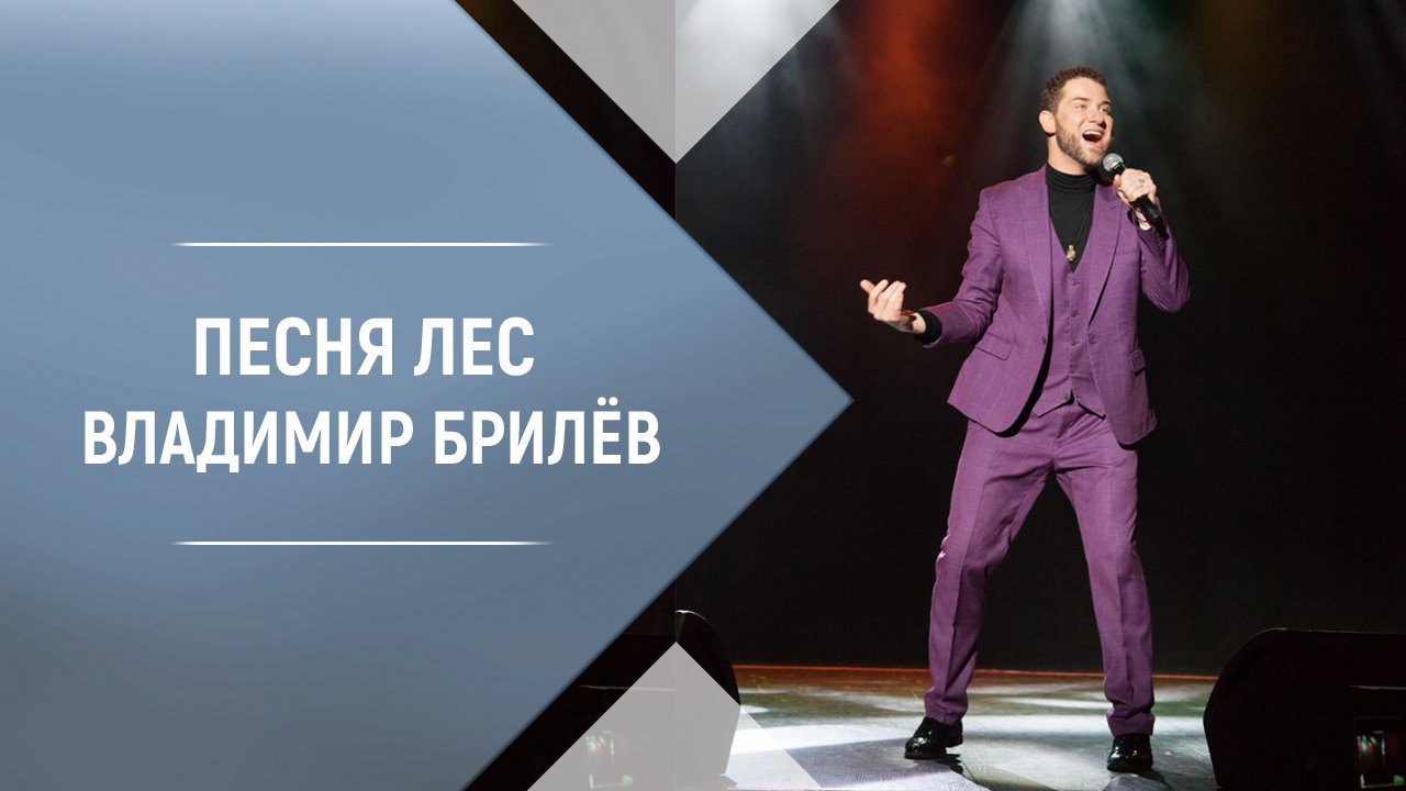Песня Лес Владимир Брилёв. Русская музыка