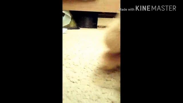 Что делают кролики пока нас нет дома смотреть онлайн