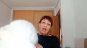 про овечку, хвостик, мостик