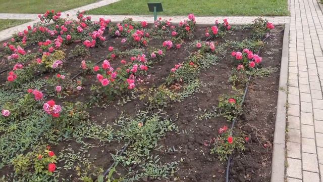 прогулка по Кисловодску. #отдых #кисловодск #релакс #долинароз смотреть онлайн