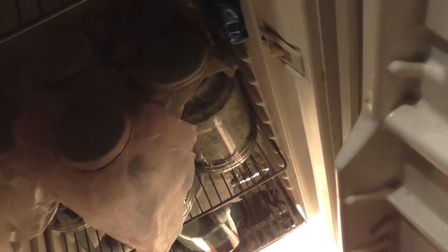 8.жидкий мицелий ( отвар из лузги, почти 2% сахара по рефрактометру ) смотреть онлайн