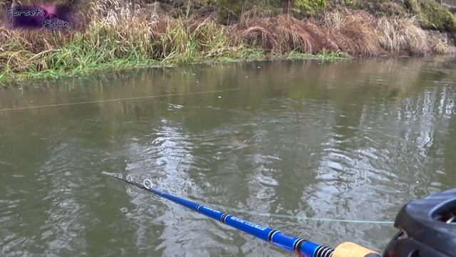 ?король холодных вод? | ☢ техногенный монстр от Megabass☢ | ?Eeler? |