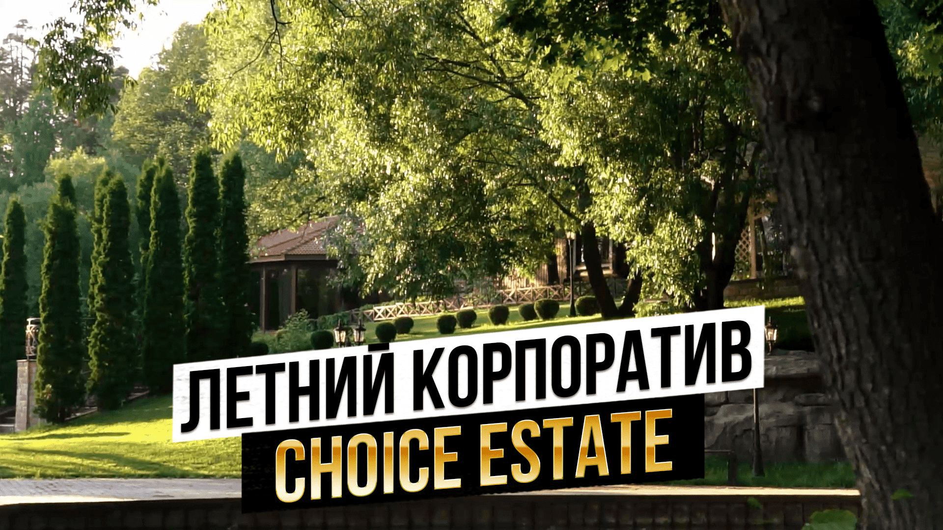 Летний корпоратив CHOICE Estate