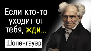 Великолепные Цитаты Шопенгауэра, Которые Помогут в Жизни