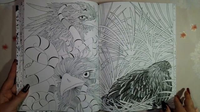 Обзор раскраски Райские птицы смотреть онлайн