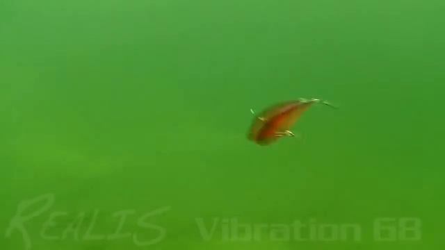 DUO Realis Vibration смотреть онлайн