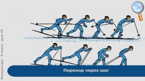 Физическая культура 8 класс (Урок№29 - Способы двигательной деятельности. Лыжная подготовка.)