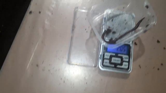 Чёрный принц маточный червь смотреть онлайн