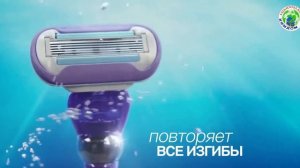 Gillette Venus