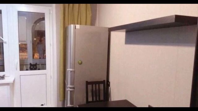 Сдается 1-ком.кв. в г.Жуковский, ул.Набережная Циолковского, д.12/24 смотреть онлайн