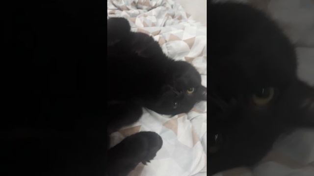 mom chat ep 2 a 20 vue смотреть онлайн