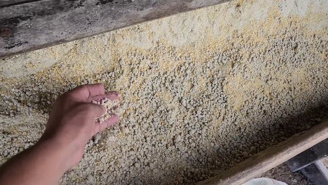 Qual a Frequencia do Trato com Proteinado para Bovinos de Corte? смотреть онлайн