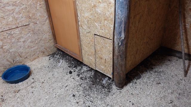 УСПЕЛ СДЕЛАТЬ КУРЯТНИК ДО ЗИМЫ | ВОПРОС К ЗРИТЕЛЯМ КАНАЛА смотреть онлайн