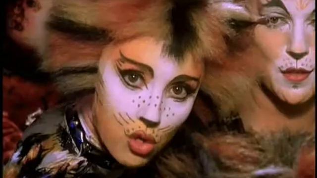 Exploration [Mungojerrie/Rumpelteazer]