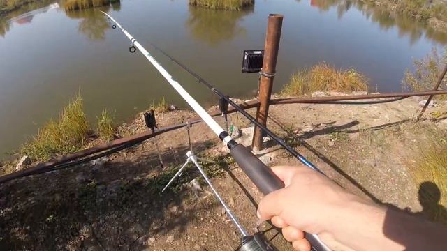 ЛОВЛЯ КАРПА НА ПЛАТНОМ ВОДОЁМЕ. САЗАН НА 4.600 смотреть онлайн