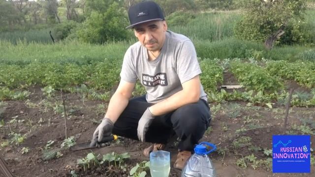 ПРОСТЕЙШИЙ КАПЕЛЬНЫЙ ПОЛИВ ИЗ ПЛАСТИКОВЫХ БУТЫЛОК, КОТОРЫЙ НИКОГДА НЕ ЗАСОРЯЕТСЯ смотреть онлайн