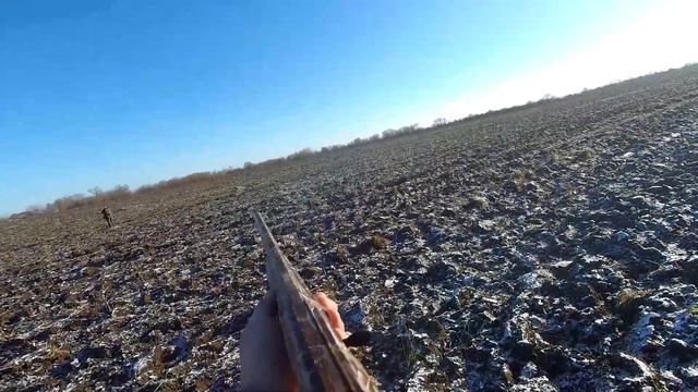 Охота в солнечный и морозный день смотреть онлайн