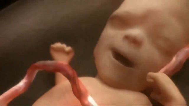 СТИХ - "Вот появился я..." смотреть онлайн