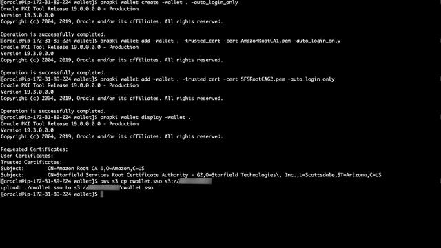 How do I connect to an SSL/TLS endpoint using the CA certificate bundle in Amazon RDS Oracle wallet смотреть онлайн