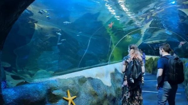 Океанариум Ailand в г. Астана, Казахстан.