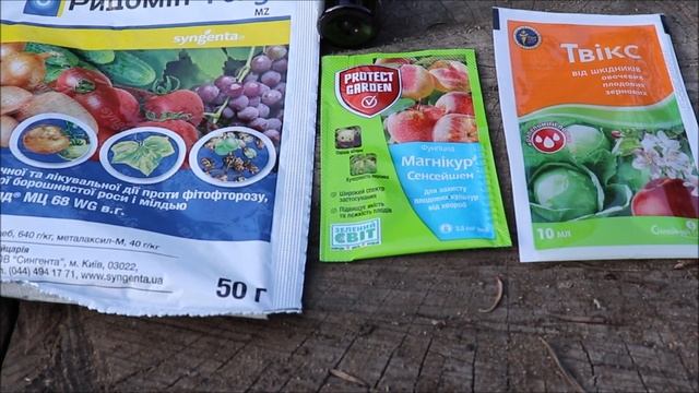 #виноград Как спасти виноград от мильдью, оидимума и гнилей ? смотреть онлайн