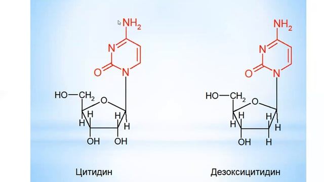 Нулеиновые кислоты смотреть онлайн