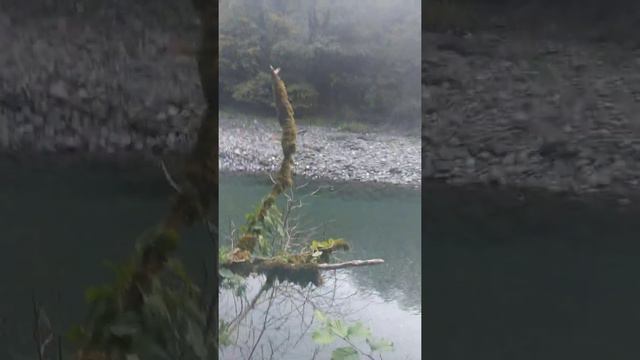 Природа в Сочи.Ореховский водопад в Сочи смотреть онлайн