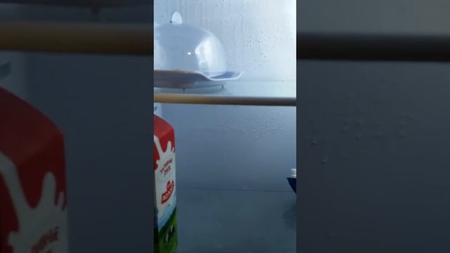 О холодильнике Don 290 смотреть онлайн