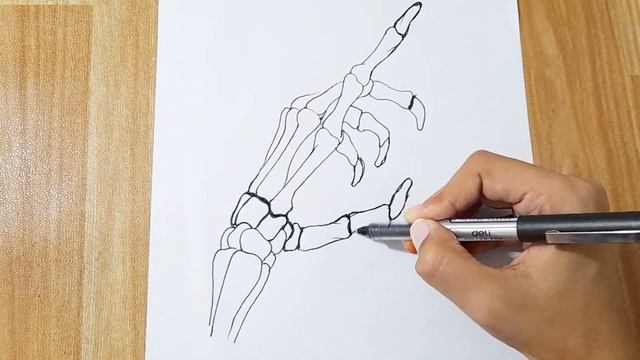 How to draw a skeleton hand with butterfly || Skeleton Drawing смотреть онлайн