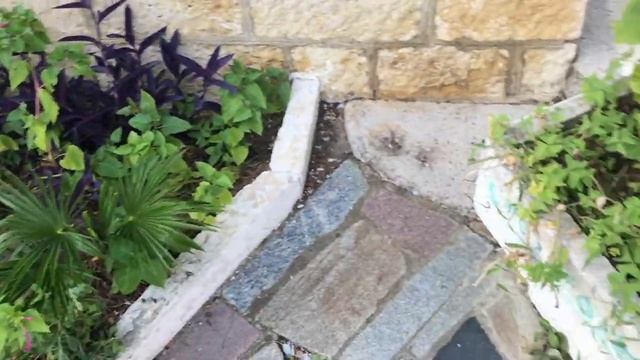 Поехали на экскурсию. Дача Сталина на холодной речке хорошо сохранилась смотреть онлайн