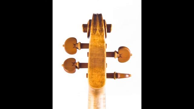 Replica Of Violin - C.A.Testore 1746 By Rumen Spirov -2013 Year