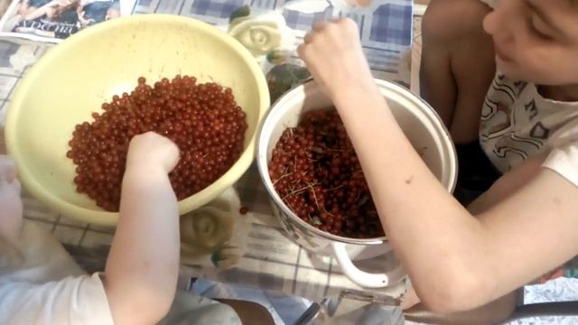 Как дети перебирали красную смородину! смотреть онлайн