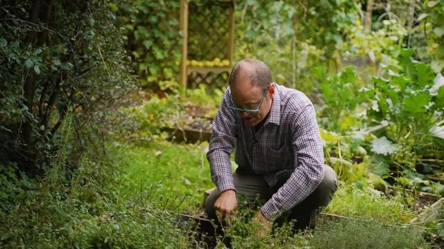 Garden Checklist: 10 Tasks You Need To Do In Late Autumn смотреть онлайн