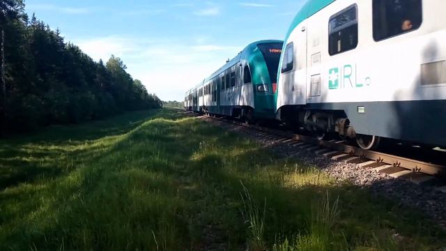 ДП3-003+ДП3-001 с рейсом №719Ф Могилёв-Гомель.