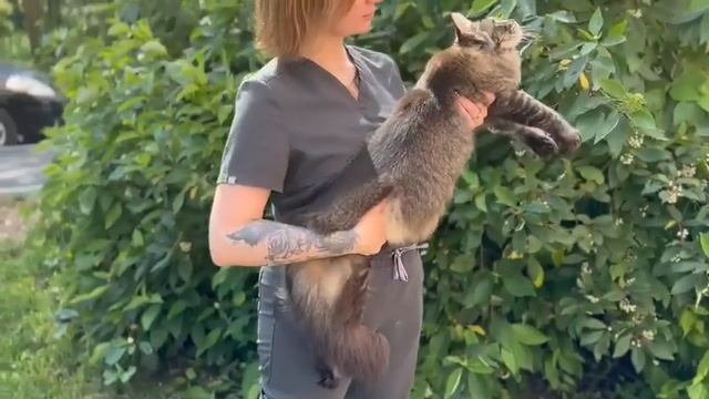 Бесподобная шубка) смотреть онлайн