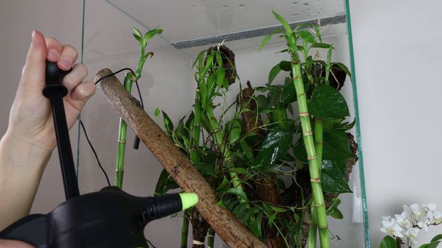 Terrarium Dla Gekona Orzęsionego 2 🦎 [4K] Vlog #10 смотреть онлайн