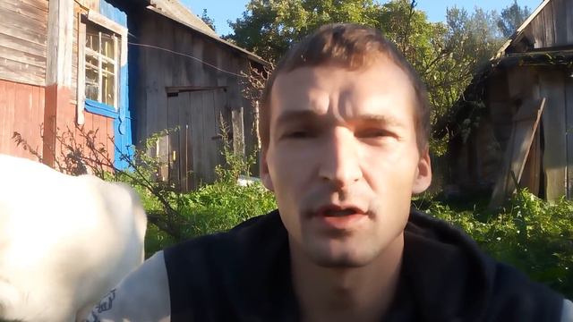 Криминал. Про деда, который тут раньше жил. Или как нельзя. смотреть онлайн