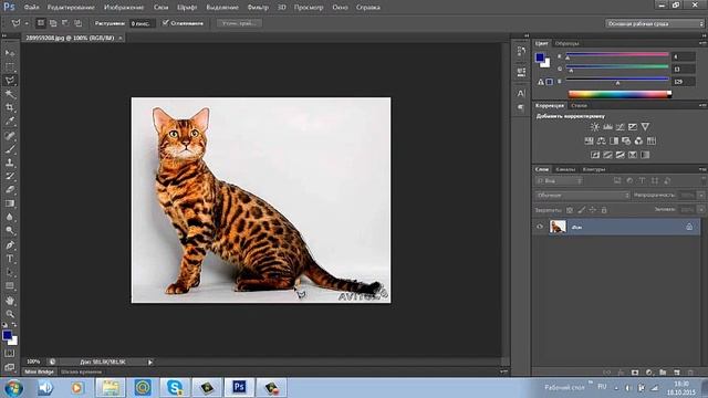 Как обрезать картинку в Adobe Fotoshop Cs6