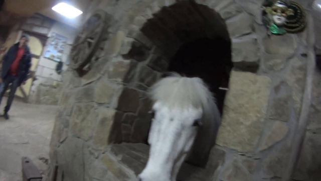 2. скк Вместе в Ростов-на-Дону 12.01.2017 смотреть онлайн