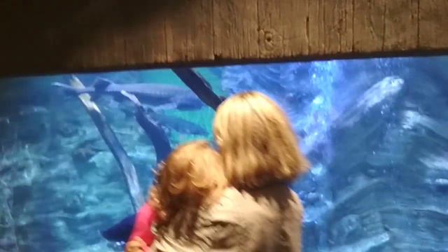 Среди Аквариумов смотреть онлайн