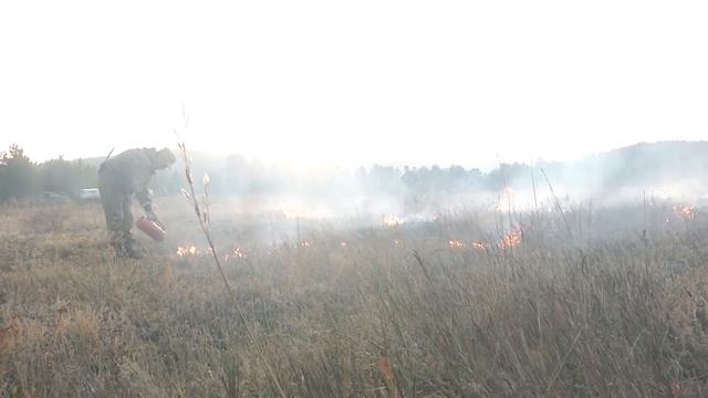 Лесная отрасль (видео на бурятском языке) смотреть онлайн
