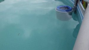 Скиммер для бассейна