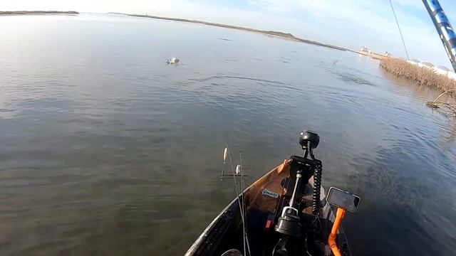 Fishing an inshore anglers dream. (Ingleside) смотреть онлайн