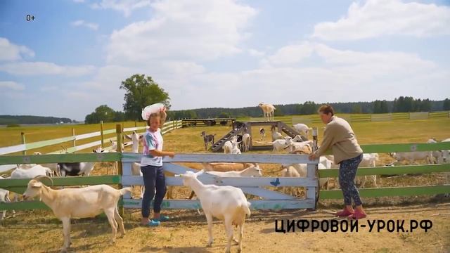 Проблемные причастия смотреть онлайн