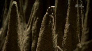 В дебрях Африки 7 серия «Мадагаскар — Остров чудовищ» (документальный сериал, 2010)